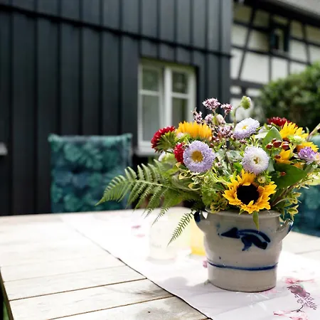 Am Rubach * באדן-באדן