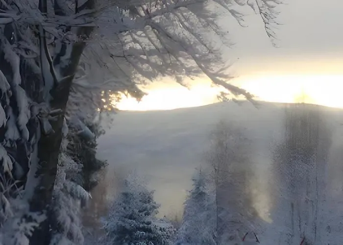 Am Rubach بادن بادن